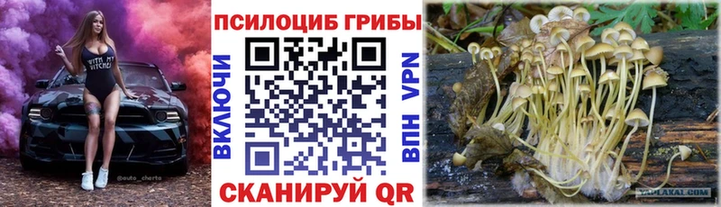 Галлюциногенные грибы Magic Shrooms  Беломорск 