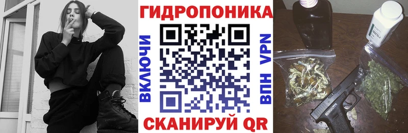 Канабис семена  Беломорск 